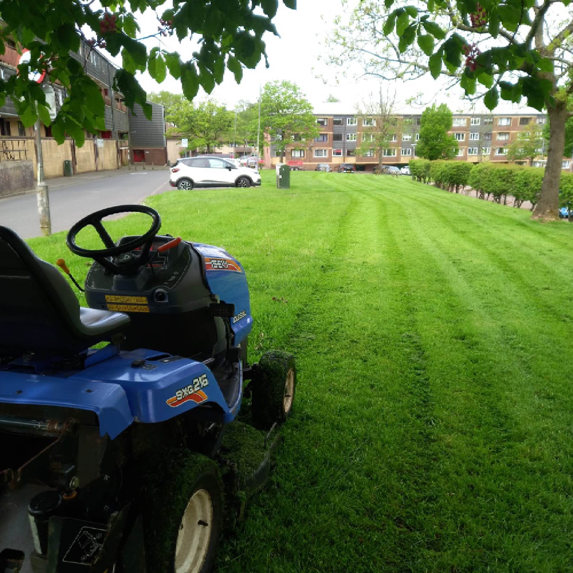 R.A.M Garden & Grounds Maintenance Contractor Glasgow