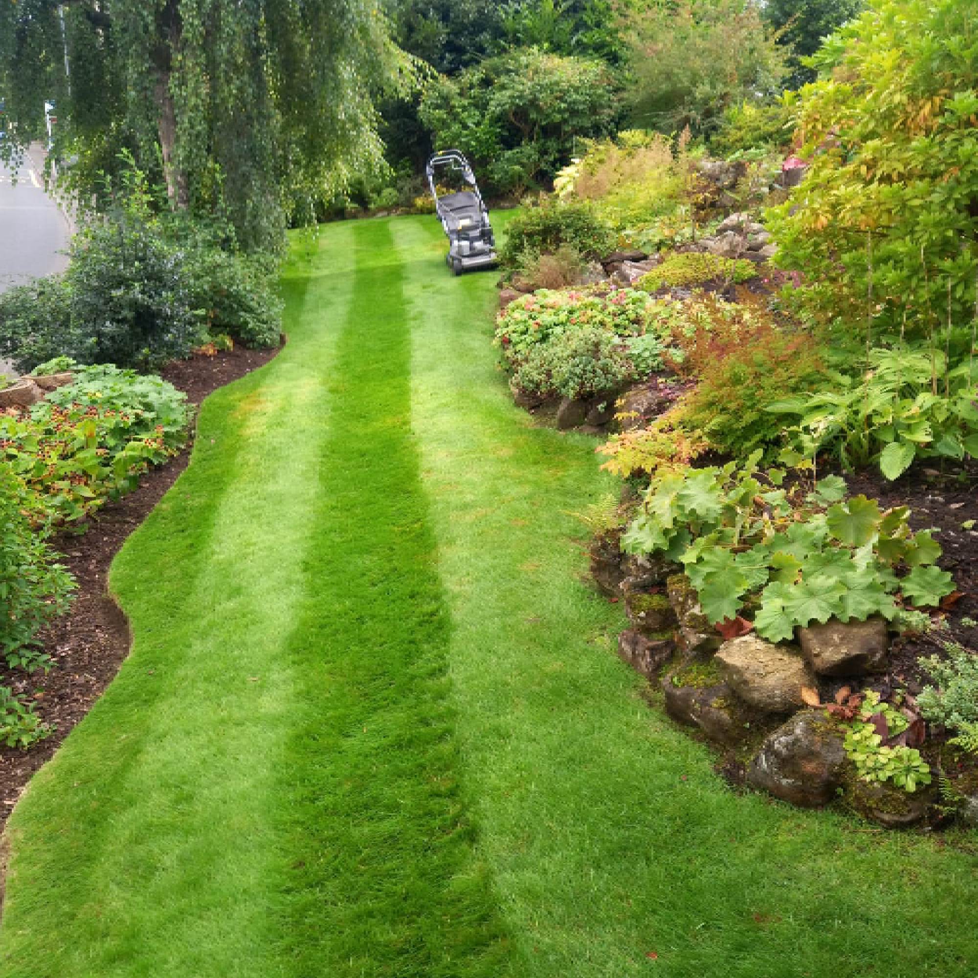 R.A.M Garden & Grounds Maintenance Contractor Glasgow