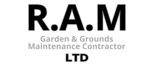 RAM LTD Logo 2 small