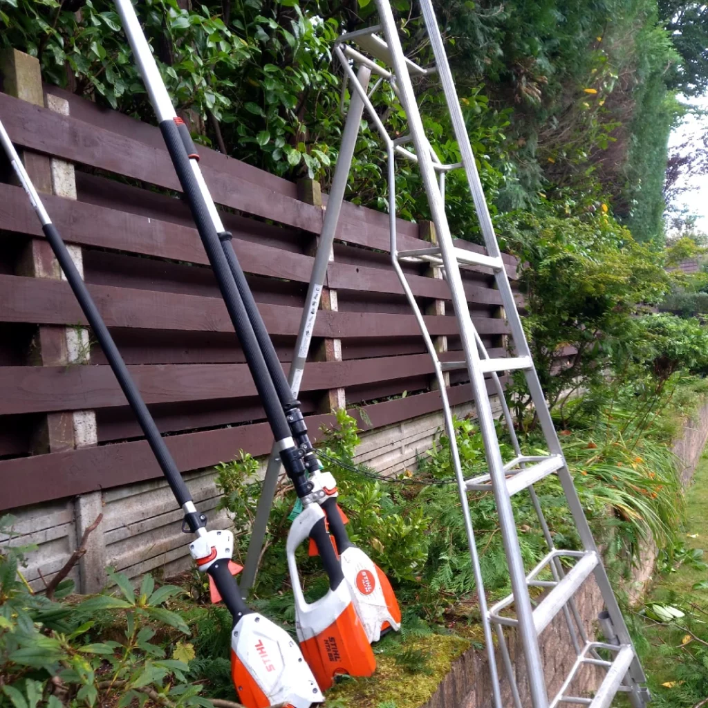 Hedge Trimming Services