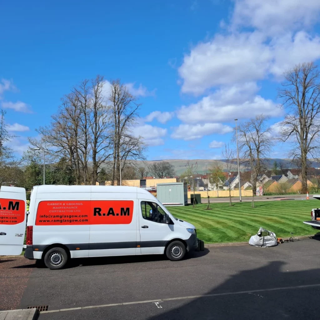 Tree Work Services
