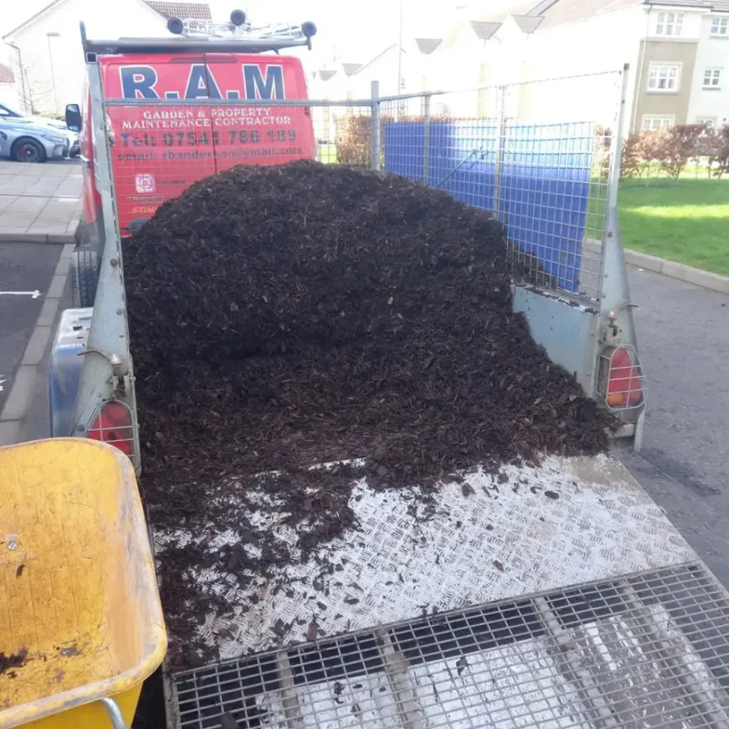Waste Removal Services