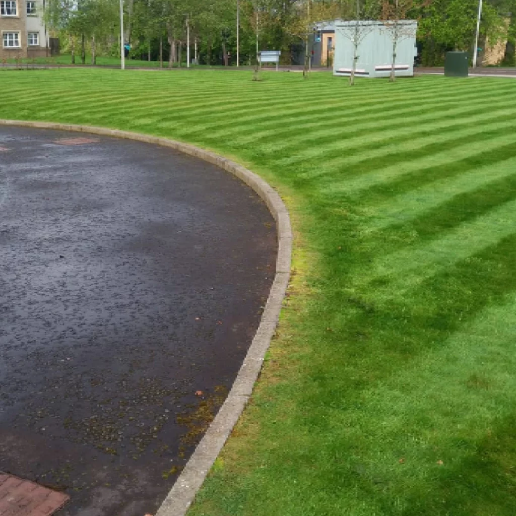 Weeding Border Maintenance Services