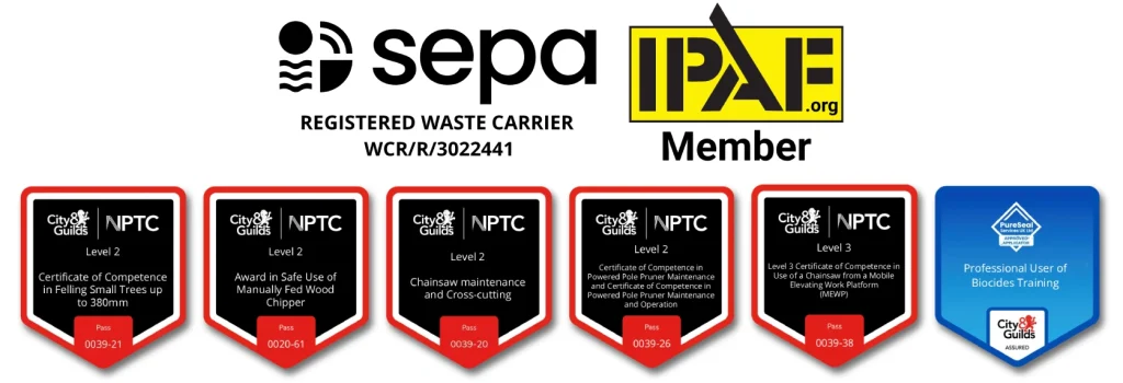 Accreditation Logos